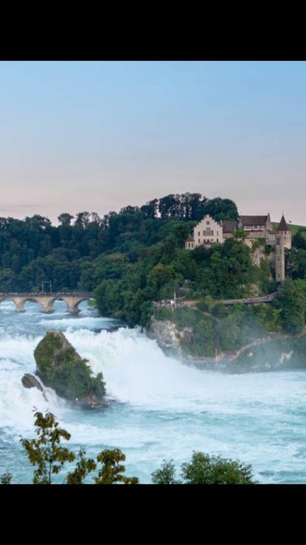 Zak Neuhausen Vandrarhem Neuhausen Am Rheinfall Exteriör bild